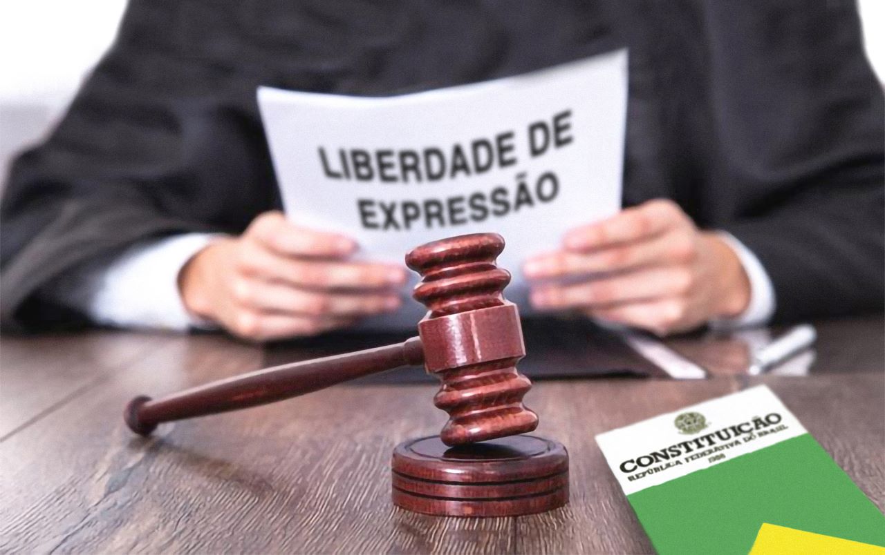 LIBERDADE DE EXPRESSÃO: um direito natural e constitucional - Portal do ...