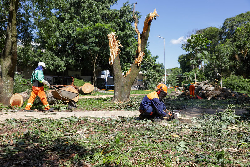 Equipes do GDF fazem ações emergenciais após fortes chuvas