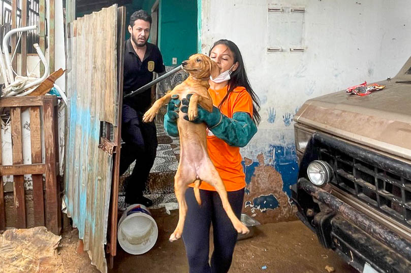 GDF resgata 100 cães em operação contra maus-tratos na Candangolândia