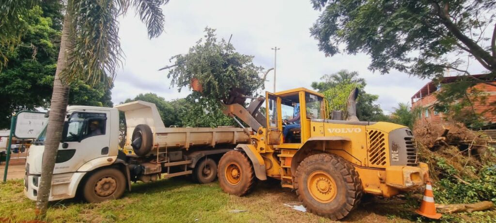 Plano Piloto avança com mutirão de limpeza e manutenção urbana