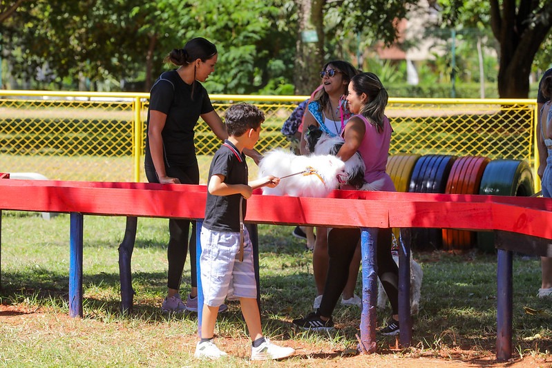 SSP-DF promove Caravana de Proteção Animal com serviços gratuitos neste sábado (15)