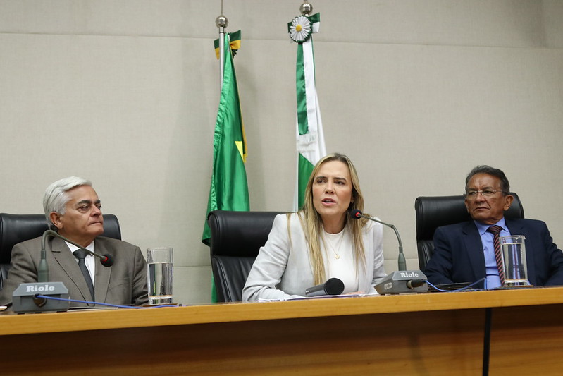 Celina Leão exalta papel da ABBP e da imprensa livre na democracia