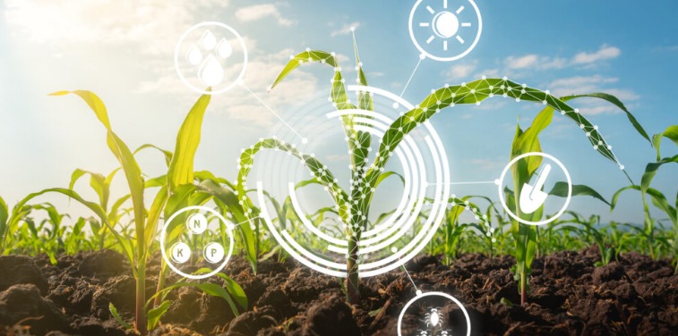 Broto se torna o marketplace mais rápido do agro