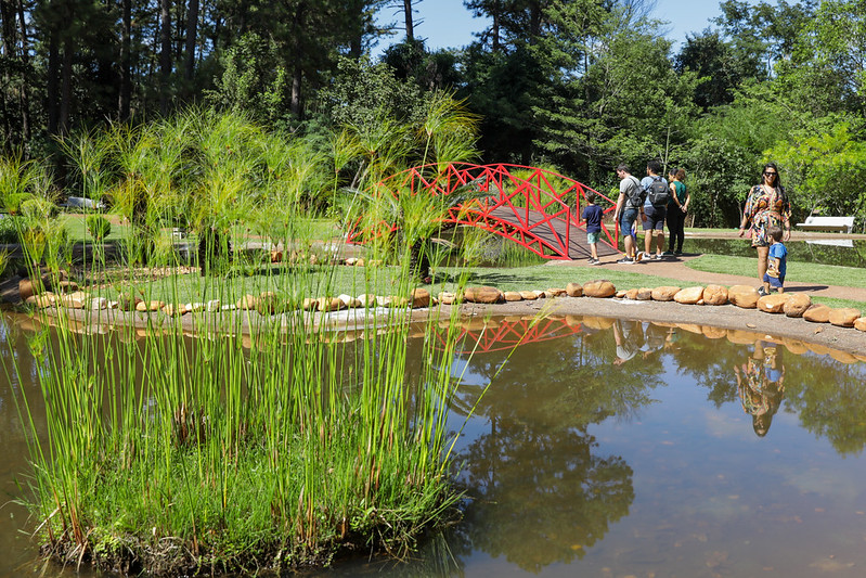 Entrada gratuita atrai visitantes ao Jardim Botânico e Zoológico