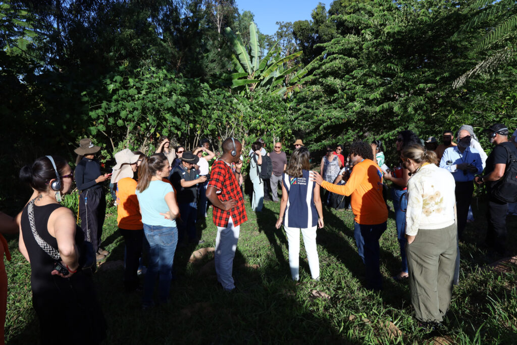 Projeto de horto medicinal do DF inspira representantes da FAO em visita internacional