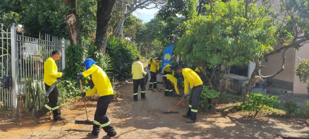 Mais de 30 toneladas de lixo verde são retiradas por dia no Plano Piloto