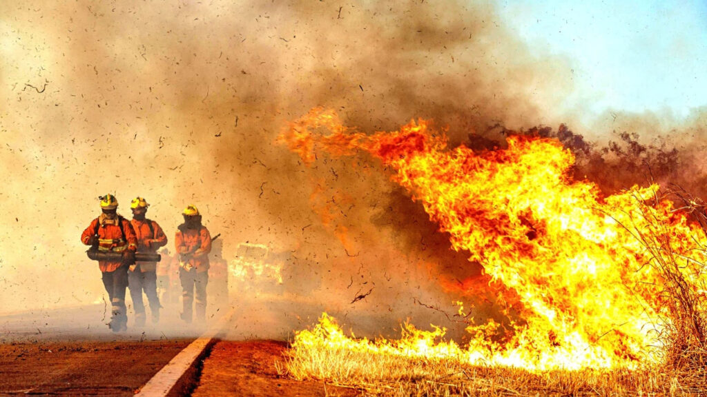Incêndios florestais diminuem 54% no DF no primeiro semestre de 2025