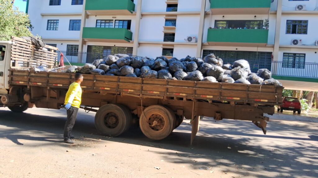 Mutirão de limpeza e de manutenção transforma espaços públicos do Plano Piloto