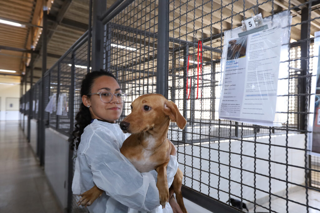 Julho Dourado reforça cuidados com a saúde animal e prevenção de zoonoses no DF