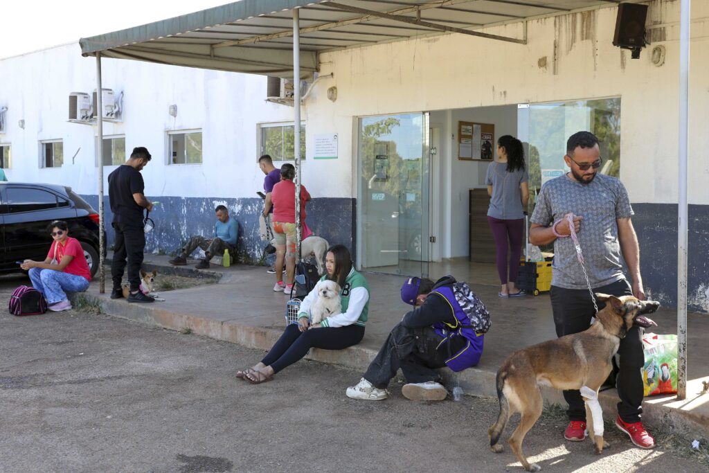 Hospital Veterinário registra 10 mil atendimentos no 1º semestre