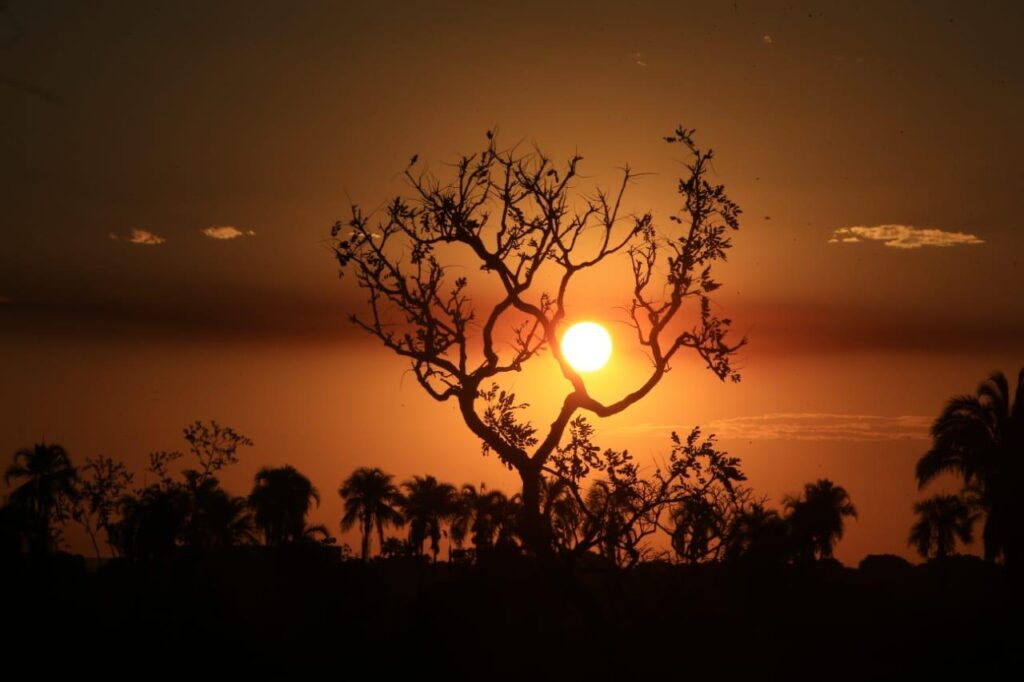 Goiás enfrenta fim de semana de extremos climáticos com seca e frio