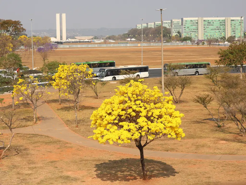Seca recorde em Brasília intensifica cuidados com a pele e saúde