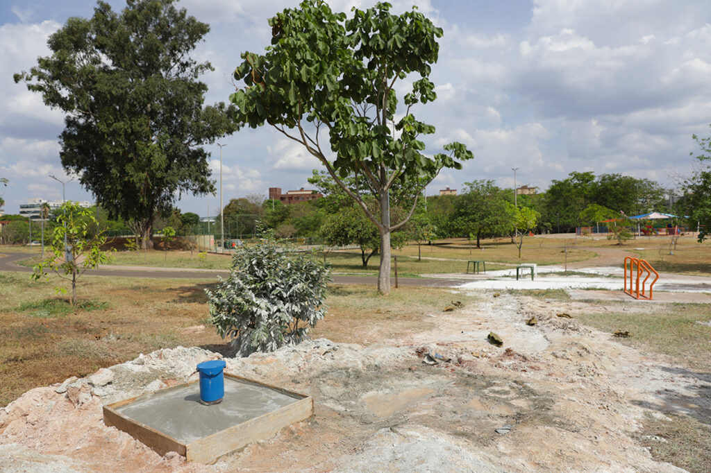 Parque Bosque do Sudoeste recebe novas melhorias e ganha espaço para calistenia