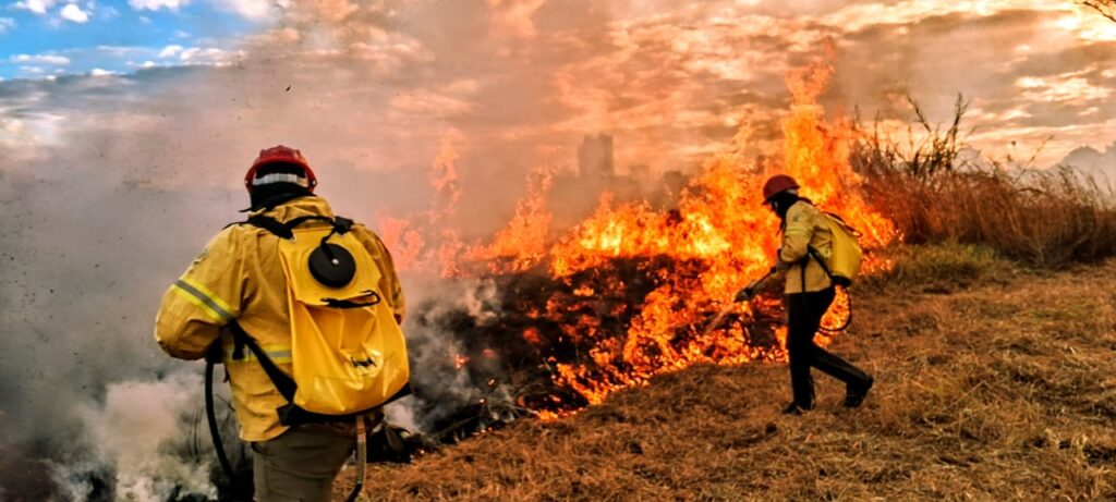 DF participa da COP 30 como referência nacional em sustentabilidade e proteção ao Cerrado
