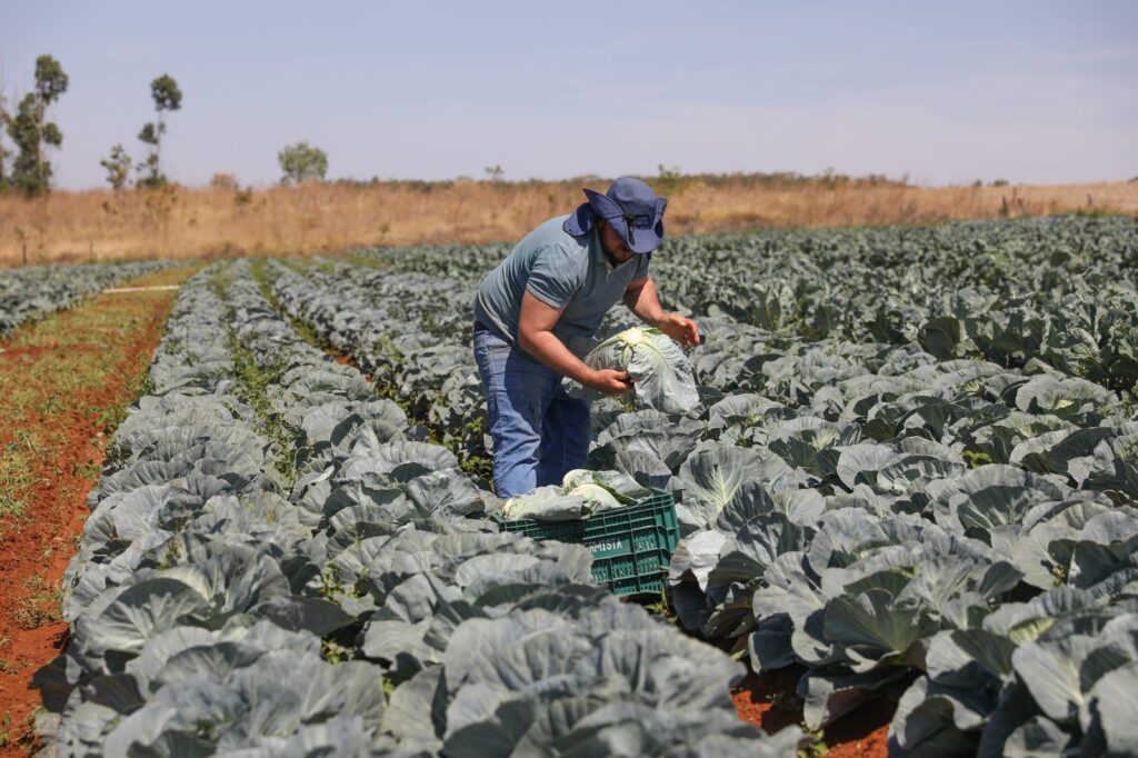 GDF reforça crédito e investe no Fundo de Desenvolvimento Rural