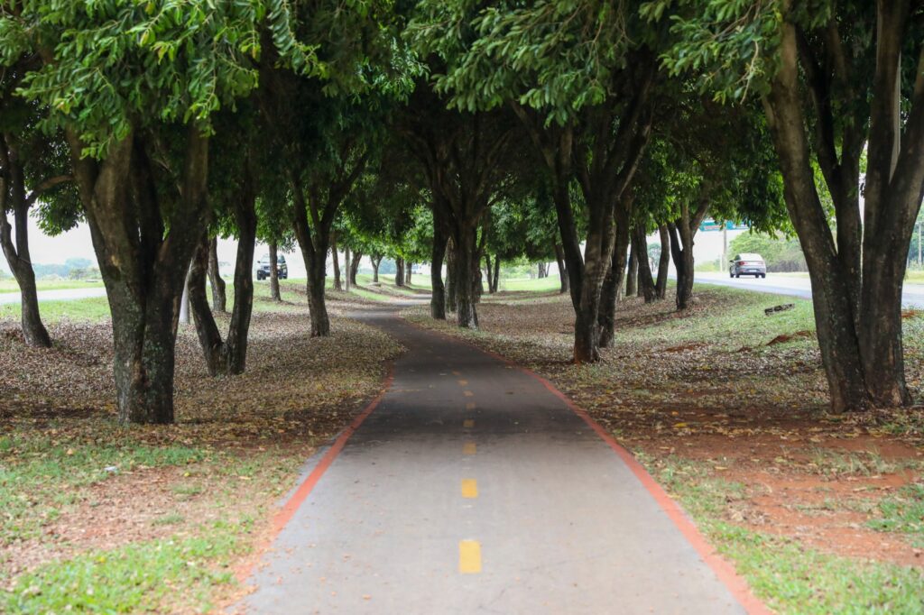Ciclovia entre Gama e Santa Maria melhora mobilidade e estimula uso da bicicleta