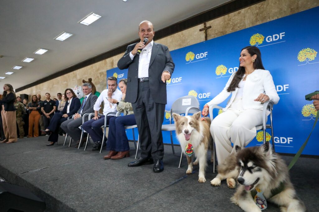 DF lança programa inédito de apoio a protetores e abrigos de animais