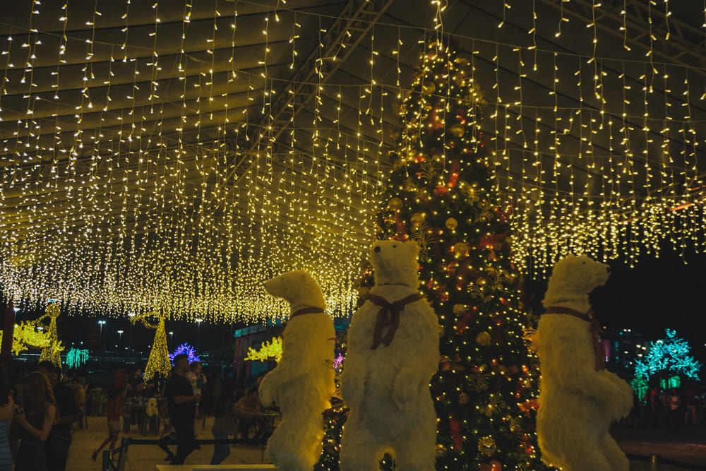Nosso Natal 2025 entra na reta final na Esplanada dos Ministérios
