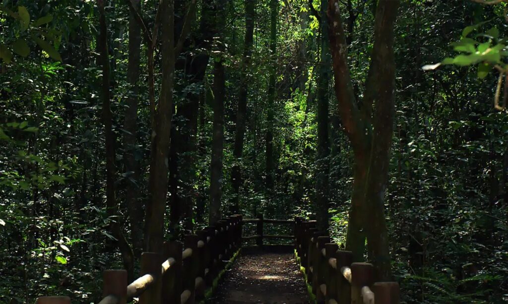 GDF abre licitação para obras nas trilhas do Parque Nacional de Brasília