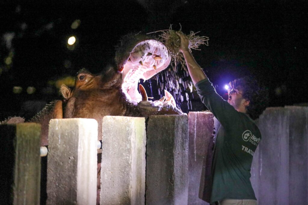 Inscrições para os projetos Zoo Experiência e Zoo Noturno abrem na segunda-feira (9)