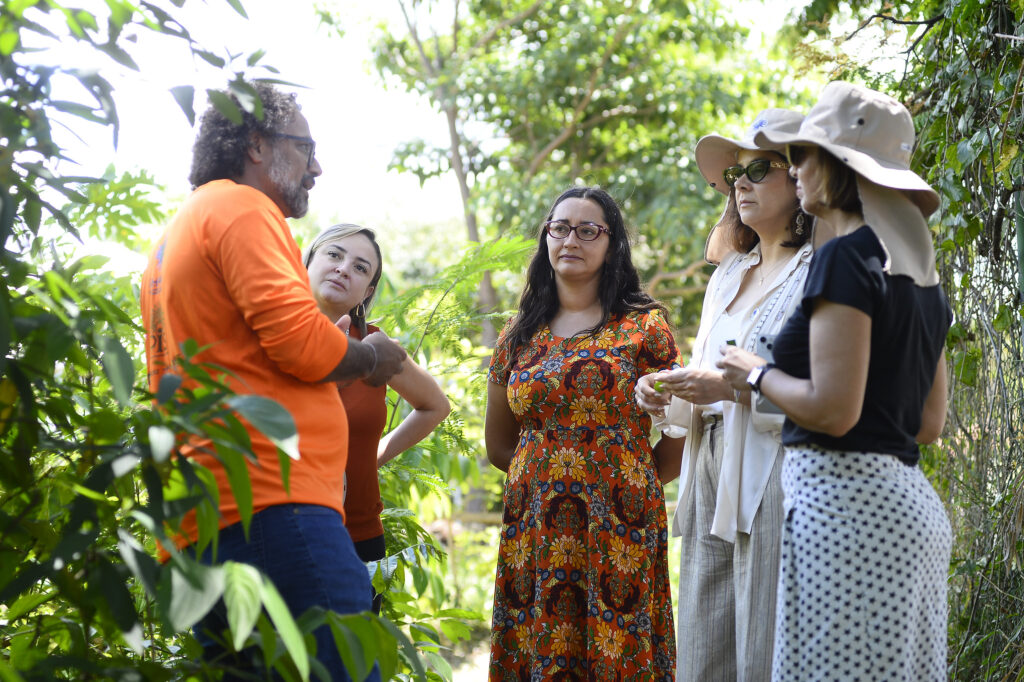 Rede de hortos medicinais do DF recebe visita de representantes internacionais