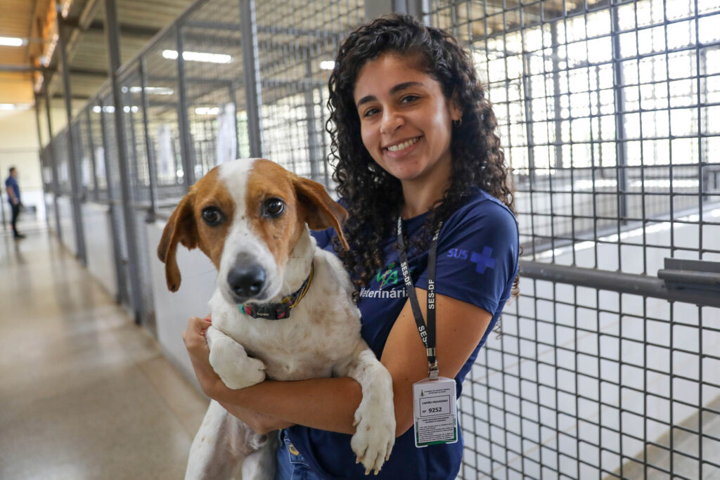 Cães resgatados aguardam adoção na Zoonoses do DF após mais de um ano