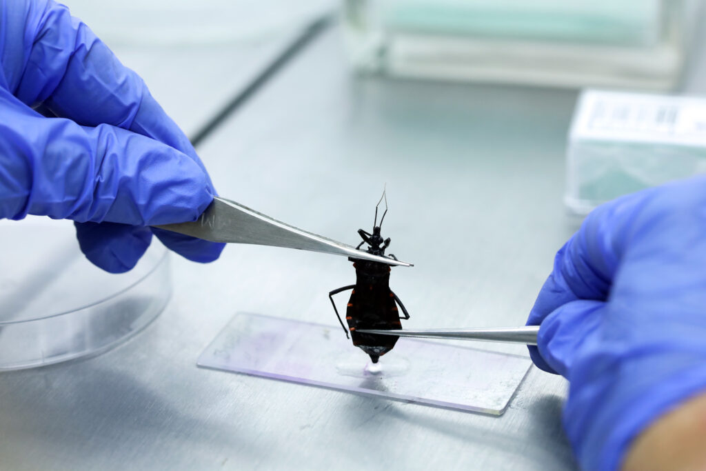 Laboratório monitora insetos e animais que podem afetar a saúde da população