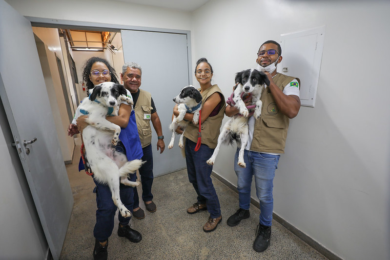 Distrito Federal amplia políticas públicas de proteção e cuidado animal