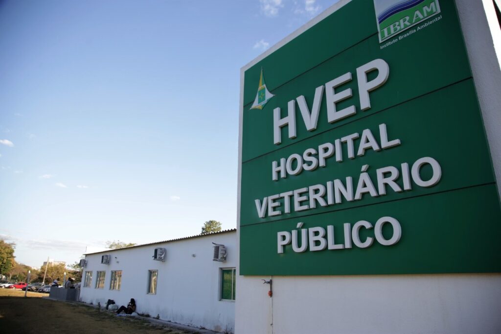 Sepan abre seleção para gestão do Serviço Veterinário Público