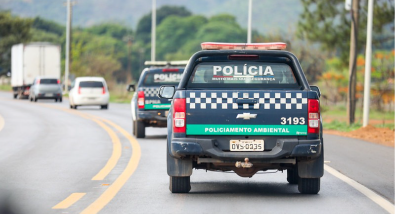 Programação especial celebra Semana do Meio Ambiente 2026
