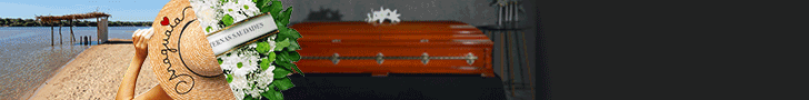 spot_img
