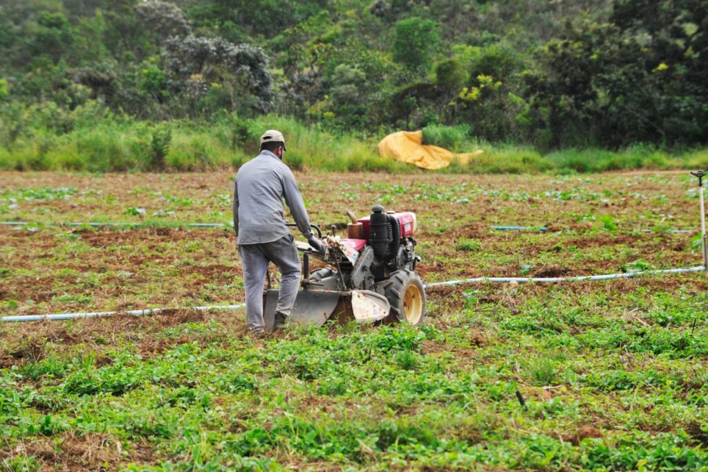 Como solicitar a regularização fundiária se você ocupa área rural no DF