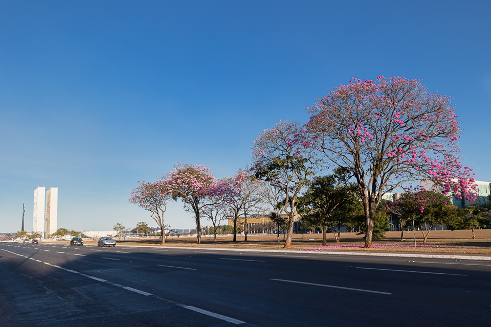 DF tem previsão de sol e tempo seco neste sábado, com máxima de 29°C