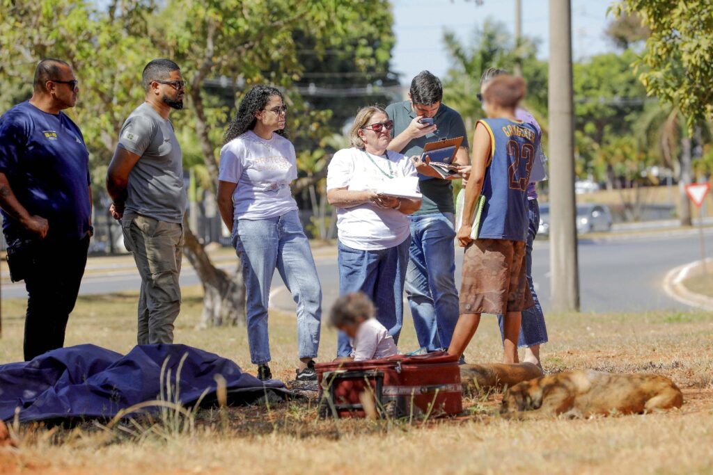 Prazo para inscrições no Ciamp-Rua do DF é prorrogado por 30 dias úteis