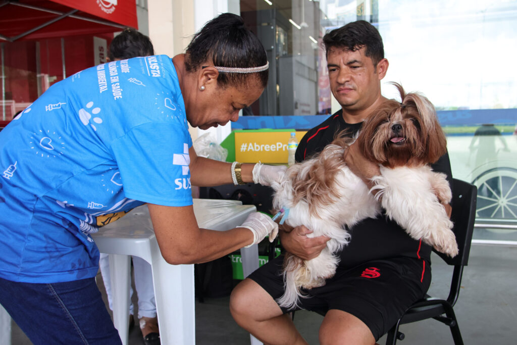 Saúde do DF inicia vacinação antirrábica para cães e gatos